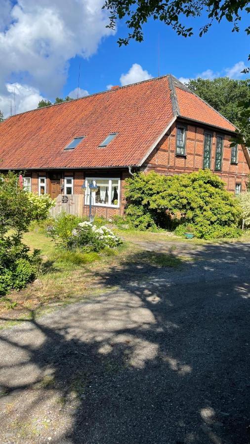 Apartament Hof Dueshop Bad Fallingbostel Zewnętrze zdjęcie