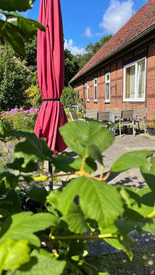 Apartament Hof Dueshop Bad Fallingbostel Zewnętrze zdjęcie