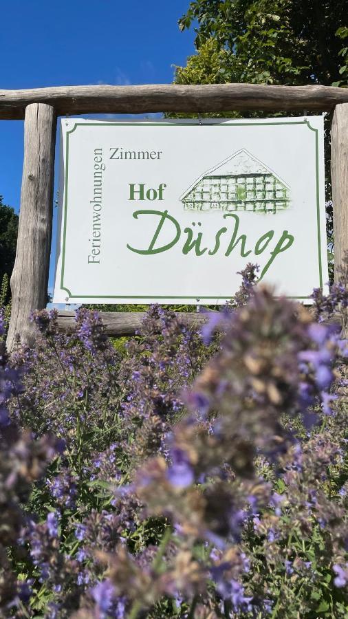 Apartament Hof Dueshop Bad Fallingbostel Zewnętrze zdjęcie