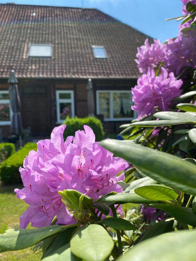 Apartament Hof Dueshop Bad Fallingbostel Zewnętrze zdjęcie