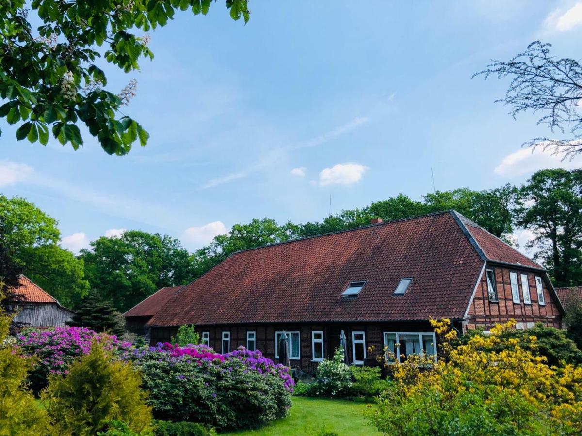 Apartament Hof Dueshop Bad Fallingbostel Zewnętrze zdjęcie